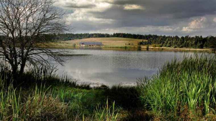 Win a stay in the magnificent Instants d’Absolu ecolodge in Cantal!