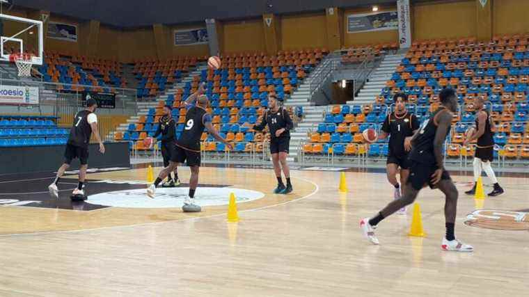 With its two new recruits, Orléans Loiret Basket hopes to regain victory against Gravelines