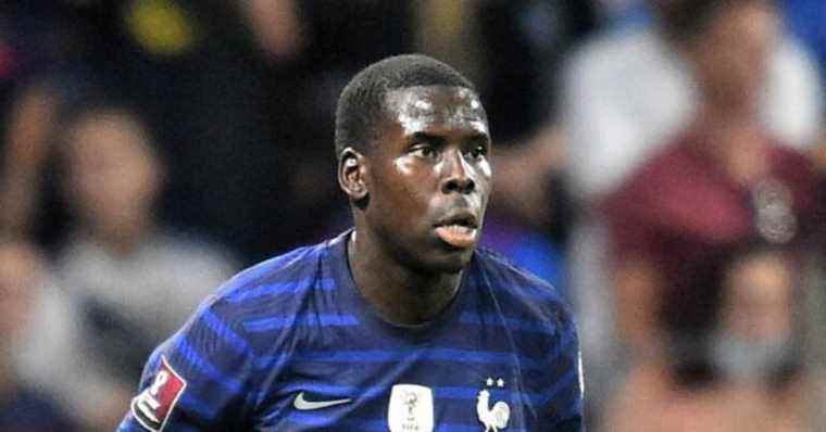 Zouma case: the SPA gives news of its cats