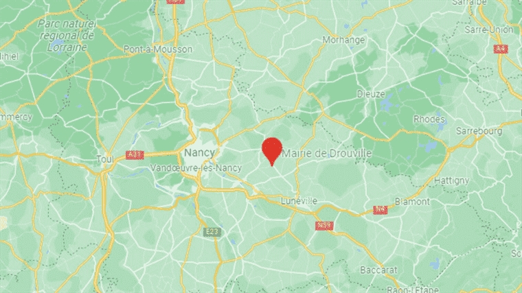 a mother placed in police custody after a double infanticide near Nancy