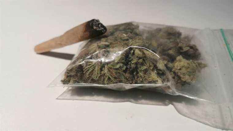 a young man from Creuse sentenced to 4 months in prison for cannabis trafficking