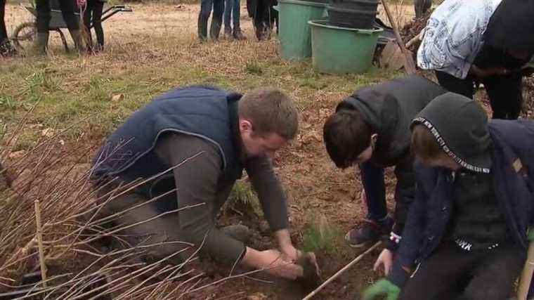 children help replant trees