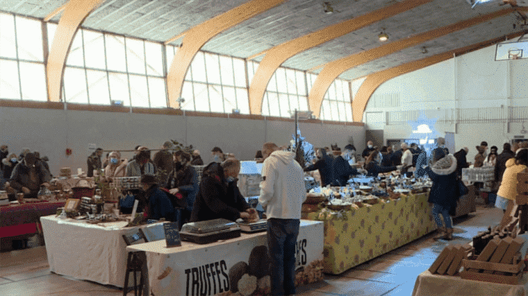 discovering the truffle market of Saint-Cannat