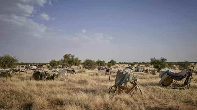 eight soldiers killed and nearly 60 “terrorists neutralized” in the north, after the death of about 40 civilians in the region