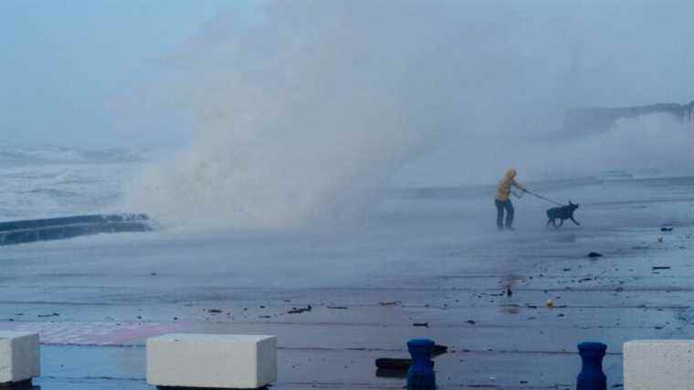 gusts of more than 100 km / h still expected this weekend in the Nord and Pas-de-Calais