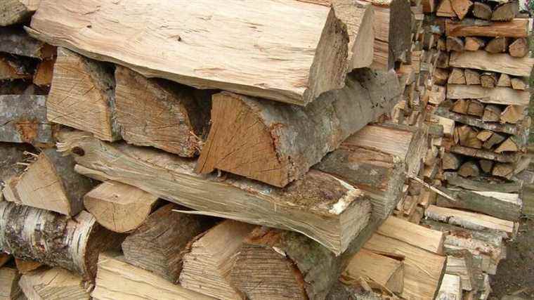 in Berry, the timber industry is concerned about the lack of oak trees