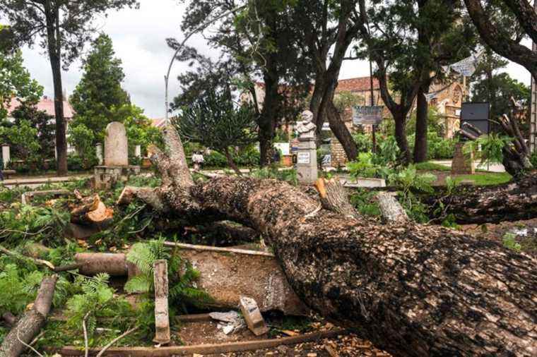 madagascar |  Cyclone Batsirai causes ten deaths, nearly 50,000 displaced