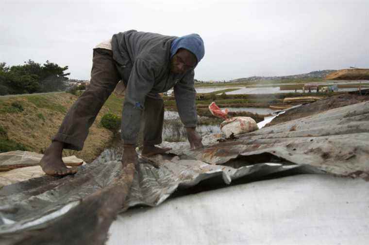 madagascar |  The powerful cyclone Batsirai has lost its power