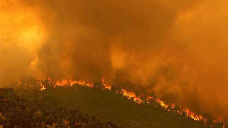 mega-fires will see a ‘dramatic rise’, according to a UN report