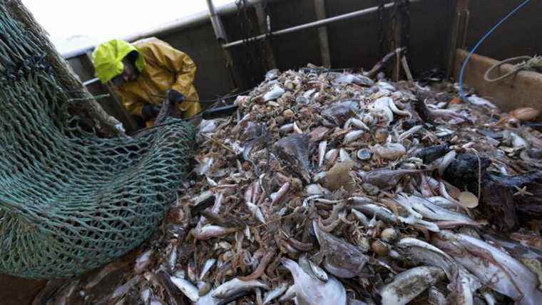 nearly 60% of fish from sustainable fishing in 2021