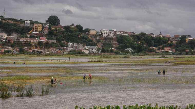 Cyclone Batsirai killed 92 people in Madagascar and further aggravated the humanitarian crisis in the country