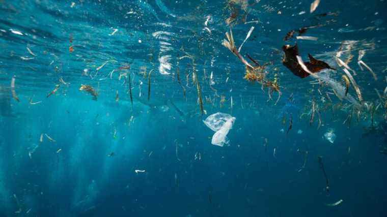 plastic and chemical pollution has exceeded planetary ‘limits’, study finds