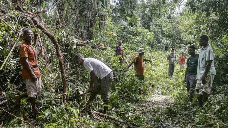 at least ten dead and tens of thousands displaced after cyclone Batsirai