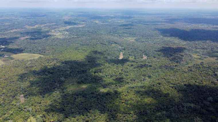 the Amazon recorded a record heat in January, leading to an increase in wildfires