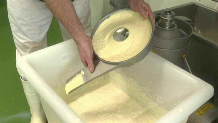 the Cahorel brothers produce the first AOP farmer’s camembert in the department