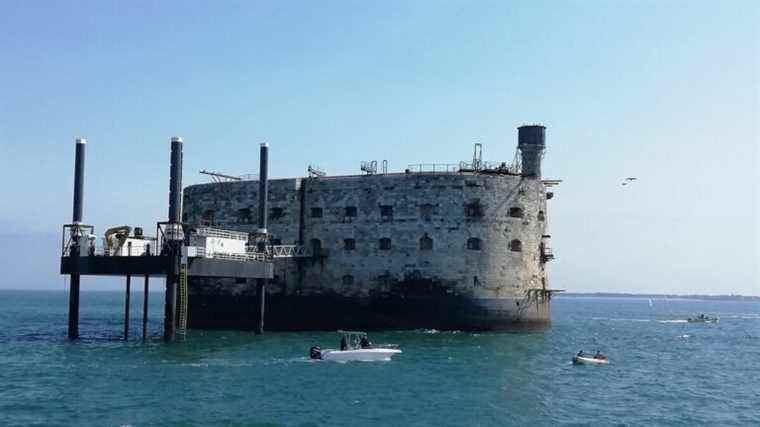 there will be no more tigers in the show “Fort Boyard” from this summer