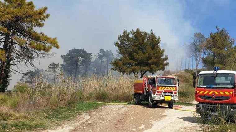 A fire in Gorbio breaks out in a forest massif