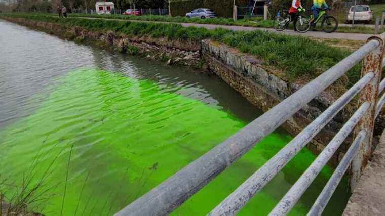 A fluorescent dye released in the Berry canal in Mehun-sur-Yèvre to identify leaks