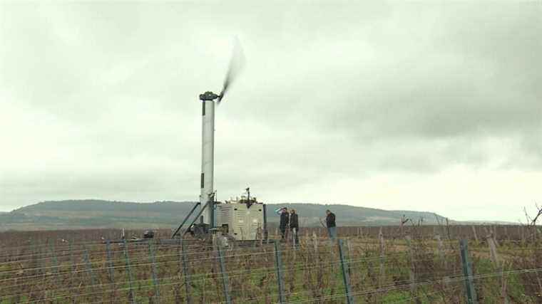 A heating wind turbine to fight against frost in the Burgundy vineyard