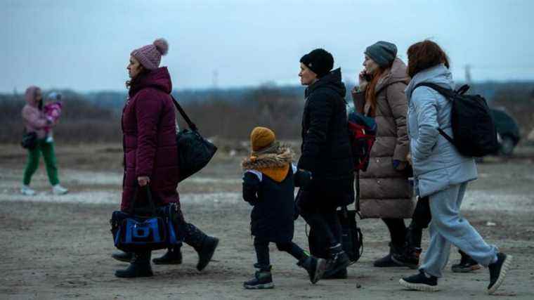 A restaurant owner from Béarn returns to France with 19 Ukrainian refugees