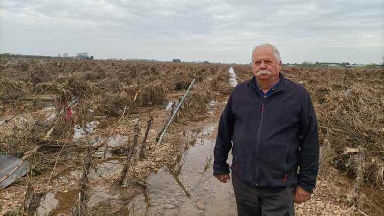 A week after the bad weather, winegrowers and market gardeners see the damage in Béziers