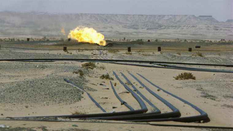 Algeria ready to increase gas deliveries to Italy by 30%