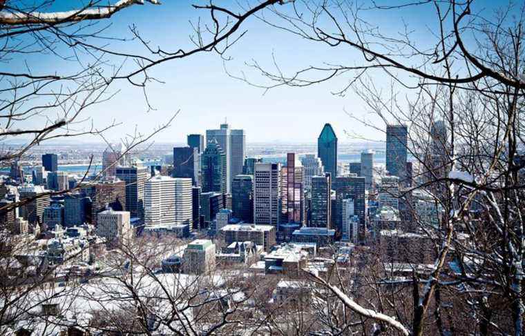 All workers could be back in downtown Montreal in September