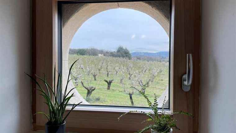 Almond trees reintroduced in Drôme Provençale