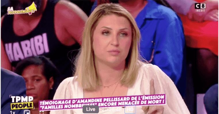 Amandine Pellissard “selfish” with her children?  Tense exchanges in TPMP People…