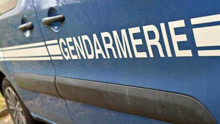 An after-school animator from Lampertheim suspected of sexual touching