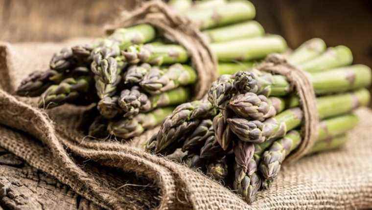 Asparagus can sing in the pots of the Cercle, Opéra de Saint-Etienne