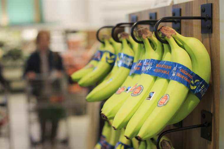 Banana industry |  Affordable fruit, but at what price?