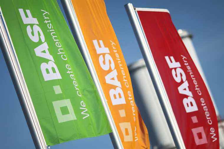 Battery sector |  German giant BASF confirms Bécancour for its next plant