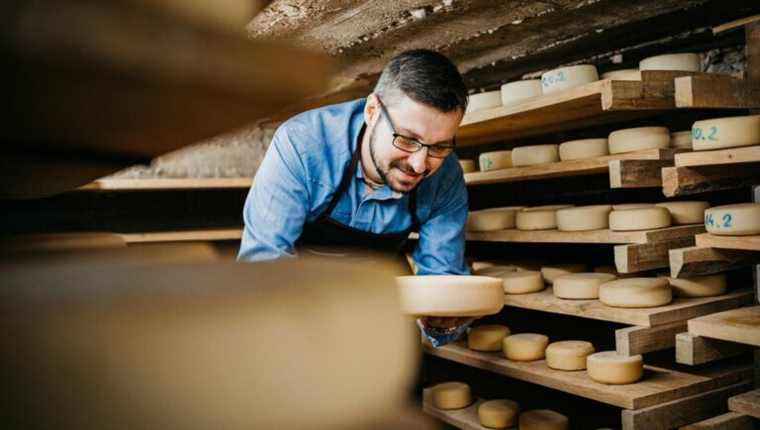 Become a cheesemaker or quality controller with training from ENIL de Mamirolle