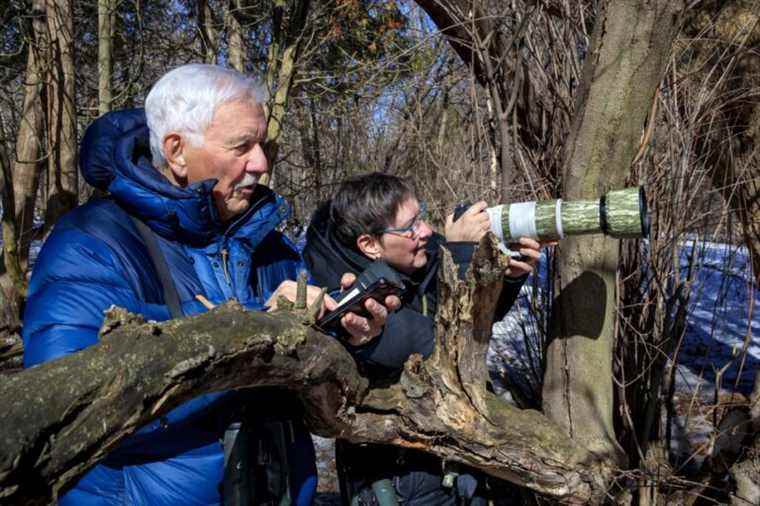 Bird collectors |  The Press