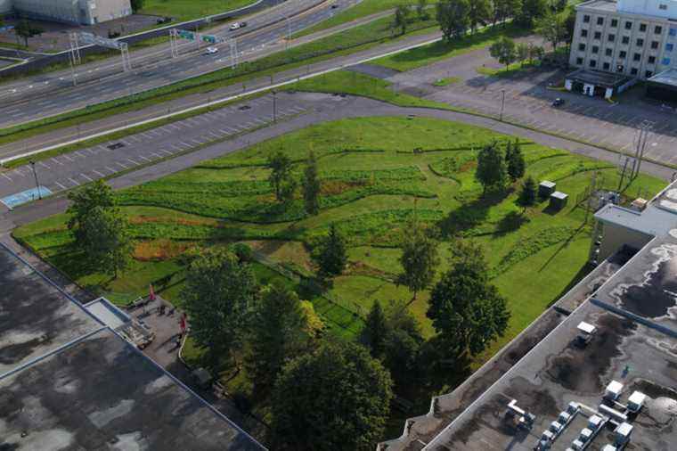 Blue planet, green ideas |  A bit of nature at the hospital