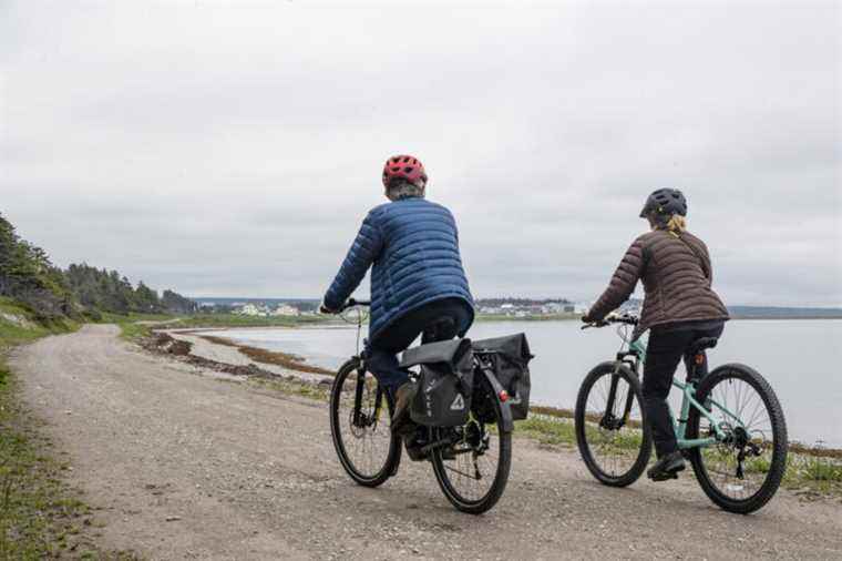 Blue planet, green ideas |  Should the purchase of electric bicycles be subsidized?