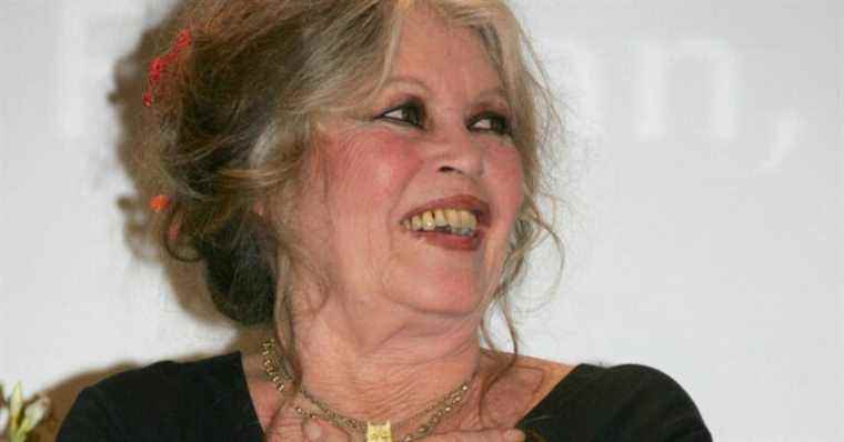 Brigitte Bardot openly displays her support for this presidential candidate…