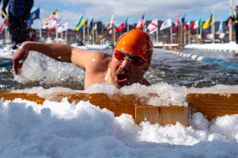 Chilly abstain |  At Lake Memphremagog, a swimming competition in icy water