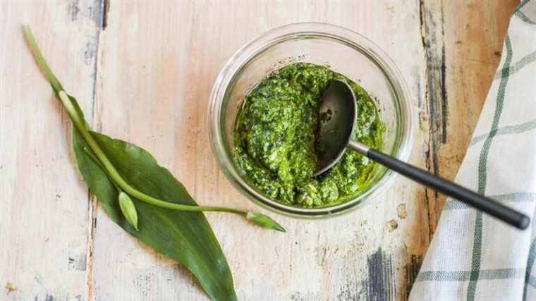 Cook wild garlic: spice up your dishes naturally