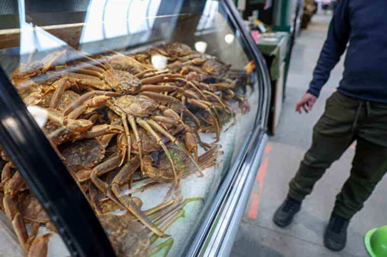 Crab prices skyrocket