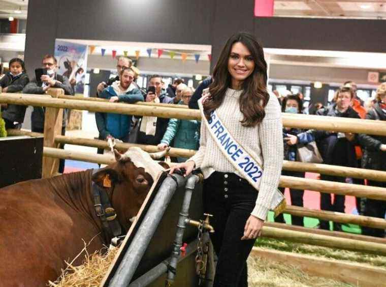 Diane Leyre alias Miss France 2022 draws the red dress with a dizzying neckline… a daring but ultra successful bet!