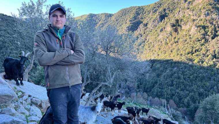 È campà quì in Omessa: Quentin Franceschini, goat breeder