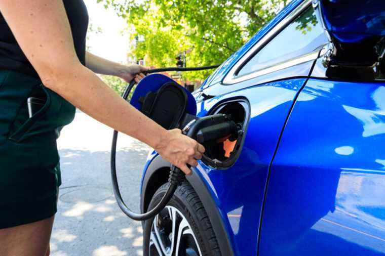 Electric vehicles |  Quebec’s target is too low, according to Équiterre