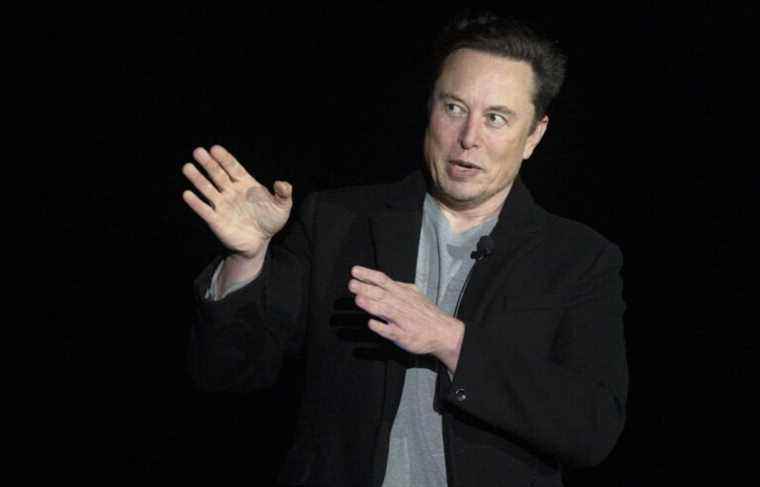 Elon Musk challenges Vladimir Putin to a duel, with Ukraine as the stake