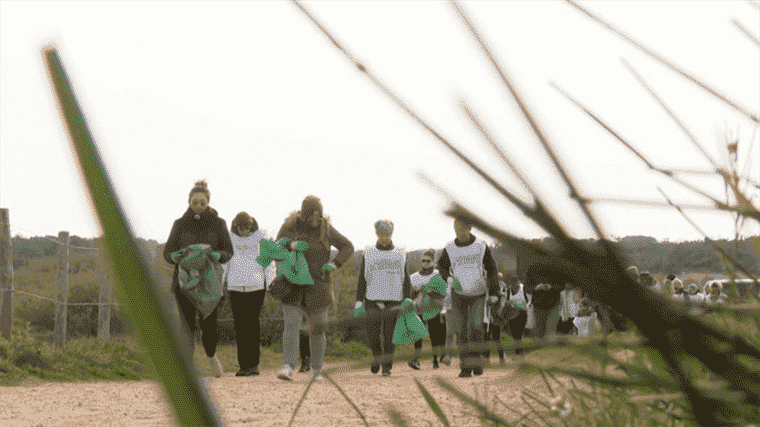 Environment: in Les Sables-d’Olonne, annual beach cleaning operations