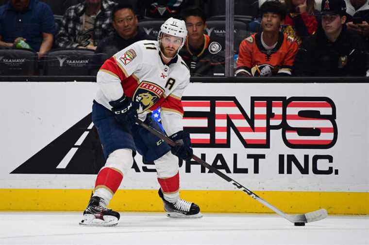 Florida Panthers |  Beware of over-enthusiasm