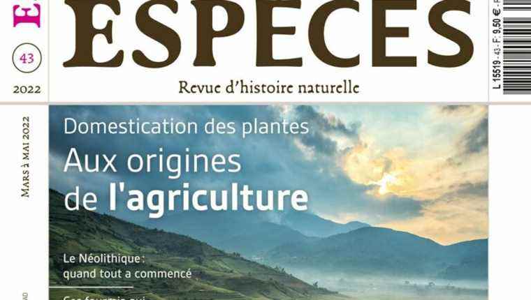 Focus on the new issue of Species Magazine with Bruno Corbara