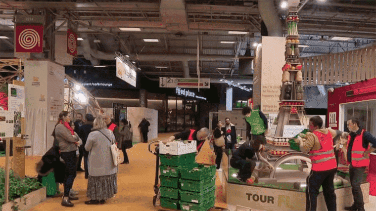 Food Bank volunteers collect as much food as possible