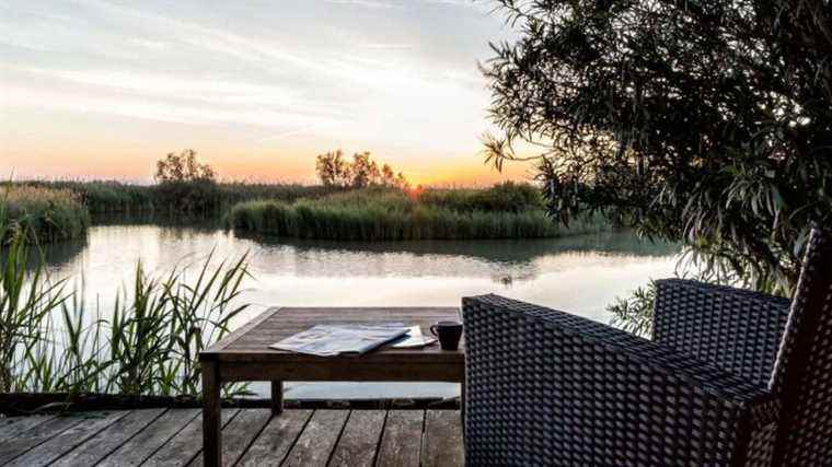 France Bleu Occitanie offers you a GIPSY stay in the Camargue